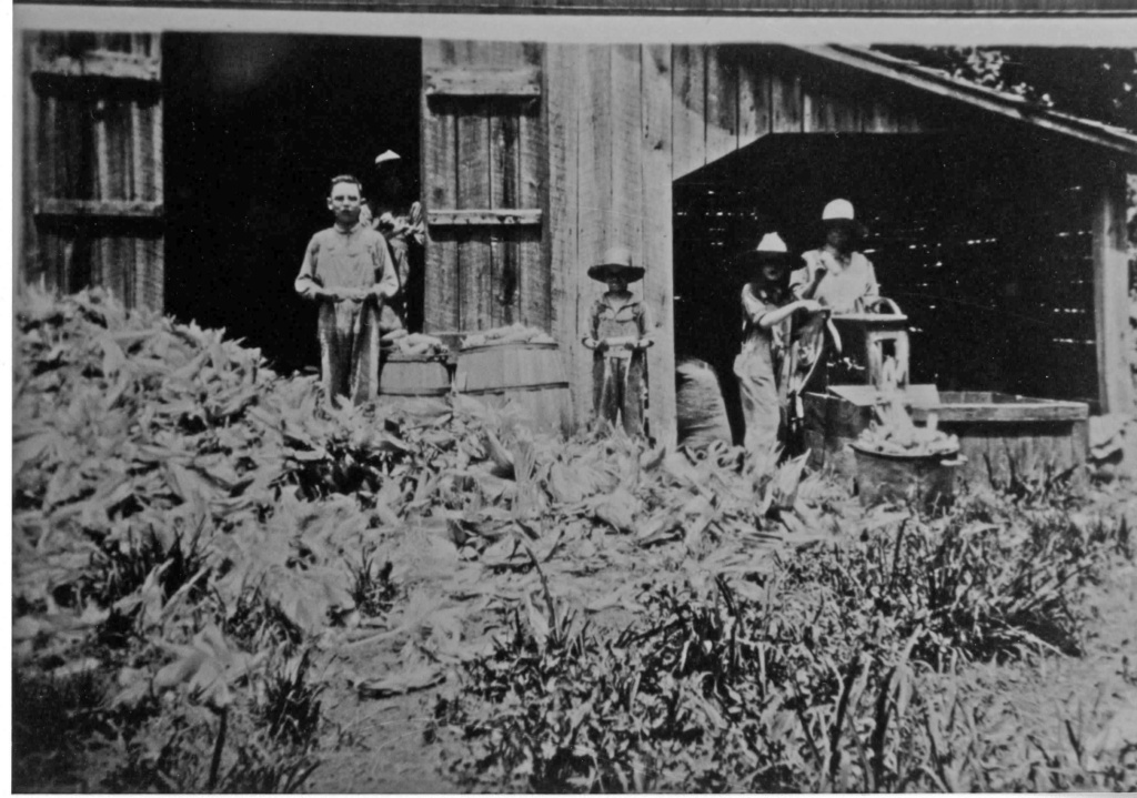 Shucking and shelling corn, 3300 block Aurora Road